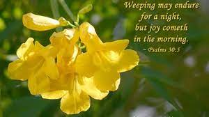 Bible verses about losing a friend to death bible verses about missing someone you love.and he took rebekah, and she became his wife, and he loved her; 40 Bible Quotes For The Death Anniversary Of A Loved One Letterpile