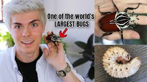 How Olive is Doing. Rehoming her or getting another rabbit?