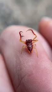 @Rainmaker1973's video Tweet