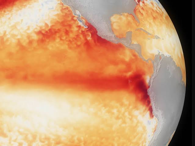 El Niño is stronger than at any point in the past 1,000 years, coral records  reveal - The Brighter Side of News