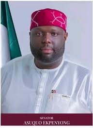 Cross River student excels in data science