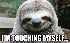 I M Touching Myself Seductive Sloth Quickmeme