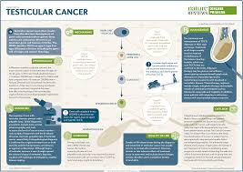 Testicular cancer is highly treatable, even when cancer has spread beyond the testicle. Testicular Cancer Nature Reviews Disease Primers