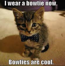 Funniest Pictures - The Morning Funnys via Relatably.com