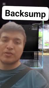 El paludario con backsump #fish #paludario #filtration