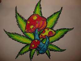 Stoner Trippy Mushroom Drawing 36 Stoner Mushroom Tattoos Ideas Mushroom Tattoos Trippy Drawings Mushroom Drawing mushroom tattoos trippy drawings