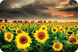 Image result for nice place