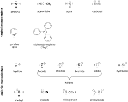 Check spelling or type a new query. Transition Metal Complexes