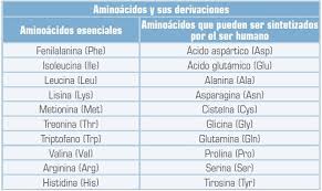 Tabla De Aminoacidos Funciones Tipos Y Caracteristicas En 2020 Aminoacido Proteinas Aminoacidos Aminoacidos Esenciales