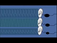 Does sound travel up or down. Sound Wikipedia