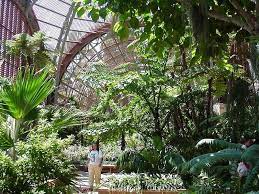 Indoor Greenhouse From Http Public Domain Photos Com Free Stock Photos 4 Travel Balboa Park B Botanical Gardens California Botanical Gardens Balboa Park