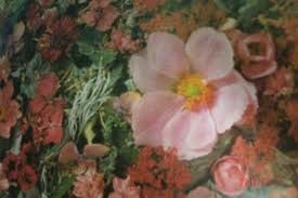 I know food dehydrators etc are suggested but i have an i have an oven and i can't find any concrete temperature guides and timeframes on the net. How To Preserve Flowers 6 Ways Of Drying Flowers Feltmagnet
