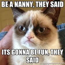 30 seriously funny babysitter memes. 25 Funny Memes That Perfectly Describe Nanny Life The Funny Nanny