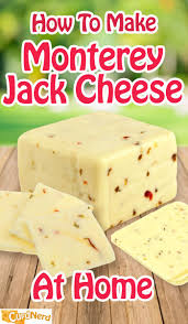 All About Monterey Jack Cheese Curd Nerd In 2020 Cheese Recipes Homemade Cheese Making Recipes Homemade Cheese