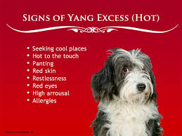 Hot Cold Foods Chinese Medicine Animal Nutrition Traditional Chinese Medicine