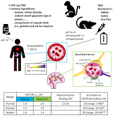 Image result for Temozolomide