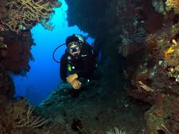 Lihat ide lainnya tentang lautan, ikan, taman. Taman Laut Olele Indahnya Bikin Nagih Destinasi Travel Indonesia