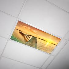 Octo Lights Fluorescent Light Covers 2x4 Flexible Decorative Light Diffuser Panels Beach For Classrooms And Offices Beach 001 Walmart Com Walmart Com