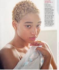 141 Likes 8 Comments Randy Stodghill Hairjunkierandy On Instagram Amandlastenberg Sitt Natural Hair Styles Short Natural Hair Styles Short Hair Styles