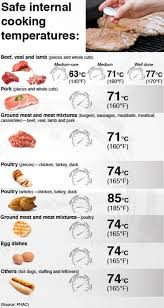 Internal Meat Temperature Chart Celsius Www