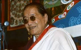 Ritual of awakening in woods