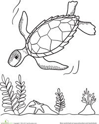Sea Turtle Worksheet Education Com Turtle Coloring Pages Coloring Pages Ocean Coloring Pages