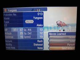 Shiny Yungoos completes the Trump line | Shiny Pokemon Amino Amino