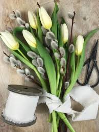 Palmkatzchen Tulpen Winter Blumen Und Blumen Anbauen
