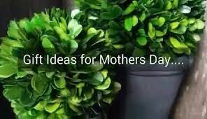 Check spelling or type a new query. Camden Nurseries Home Facebook