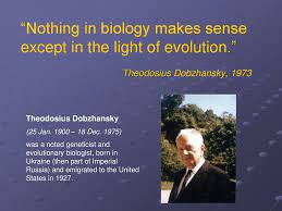 Nothing In Biology Makes Sense Except In The Light Of Evolution Theodosius Dobzhansky 1973 Theodosius Dobzhansky 25 Jan 18 Dec 1975 Ppt Download