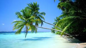 Free Beach Desktop Wallpapers Wallpaper Cave