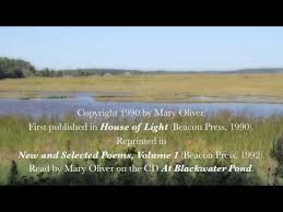 Mary Oliver Reads The Summer Day Aka The Grasshopper Youtube Mary Oliver Quotes Mary Oliver Mary Oliver Poems