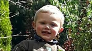 Daniel John Twigg, three, killed in Rochdale 'dog attack' went into cardiac  arrest, coroner told