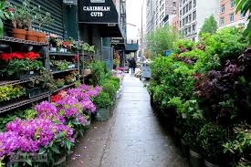 The heights flower shoppe has been proudly serving hasbrouck heights. Nyc 3 Times Square The Flower District Matilda And Defeating The Scary Subway