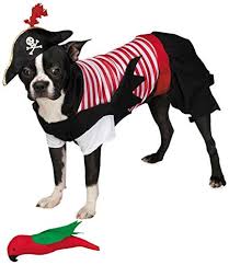 However, it is impossible to make a good jack costume because his proportions are so drastically different from me and (hopefully) you. The Cutest Dog Halloween Costumes Ever Fabfitfun