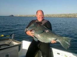 Spearfishing with Crocodiles, Near misses and lessons learnt