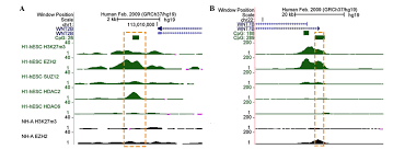 The distributions of two of the histone modifications (h3k4me3 and h3k9ac) Abnormal Epigenetic Regulation Of The Gene Expression Levels Of Wnt2b And Wnt7b Implications For Neural Tube Defects