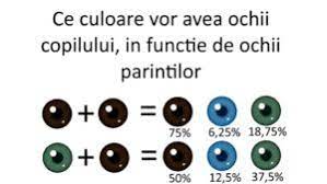 Vreți să știi câte săptămâni are un an? Cate Luni Inseamna Saptamanile De Sarcina Grafic Detaliat Revista Baby Pentru PÄrinti Èi Copii
