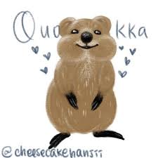 Pin By Silly Tilly On Quokka Quokka Disney Dogs Drawings
