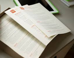 professional resume fees