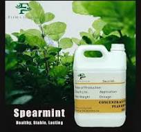 Wholesale Hookah Flavor Liquid Food-Grade Liquid Additives ...