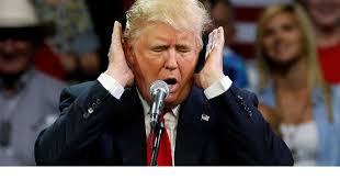 Image result for travel ban protests