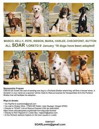 Maybe you would like to learn more about one of these? Soar Nopolo News Events More