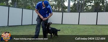The training session is specifically tailored for your family in your environment and includes the children. Brisbane Dog Trainer Obedience Training Classes All Dogs All Breeds