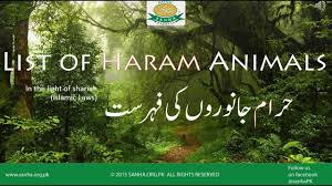 He has allowed us many things that were forbidden accordi. Dar Ul Ifta Ahlesunnat Is It Permissible To Eat Snake In Islam Dawateislami By Dawateislami