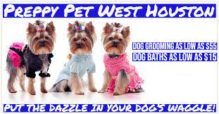Lucky dog mobile spa is a professional mobile dog grooming service to the houston texas area including the heights, river oaks, bellaire, memorial and hedwig village. Dog Grooming Prices In Houston Katy Tx Preppy Pet West Houston