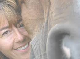 North Horse: Fuglyblog Eulogy & Legacy: A Message to All Horse Bloggers