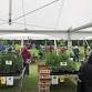 Maine Audubon Native Plants Festival & Sale