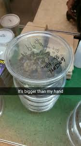 Some like a little, and some like a lot. Exotic Pet Store Near Me Now Off 51 Www Usushimd Com