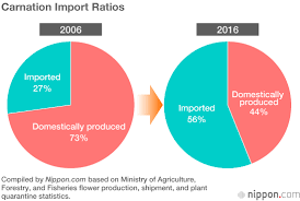 Japan Data Imported Blooms Fill The Gap As Domestic Cut
